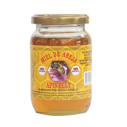MIEL DE ABEJA 250 G APINELLY