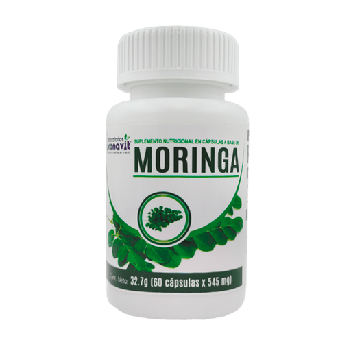 [8669] MORINGA CAPSULAS X60 PRONAVIT